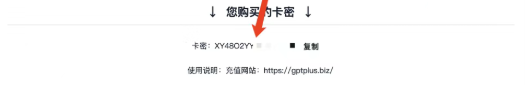 WildCard(野卡)失联,可替代的 Chat GPT 充值方案 WildCard(野卡)失联,可替代的 Chat GPT 充值方案